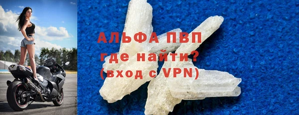 СК Новодвинск