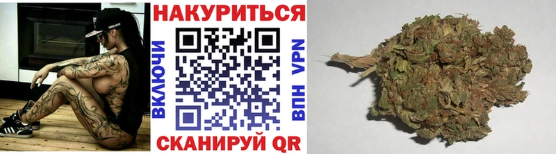 МАРИХУАНА гибрид  Ветлуга 